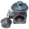 VM 49002021F EGR Valve